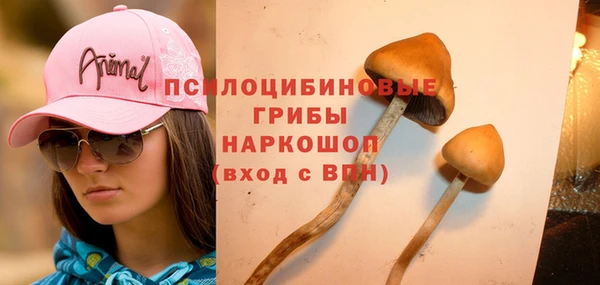 кокс Алексеевка