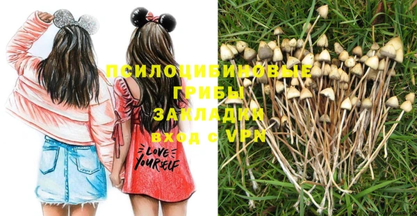 прущий лед Алзамай