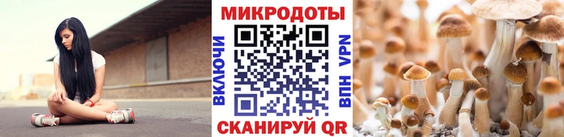 Галлюциногенные грибы Magic Shrooms  Купить  Ульяновск 